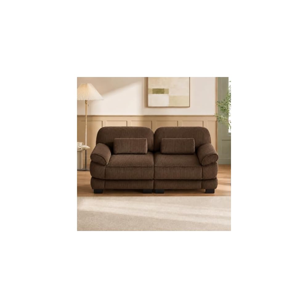 Home Living Room Couch, Modular Sectional Sofa, Brown 2-Seat Straight Couch