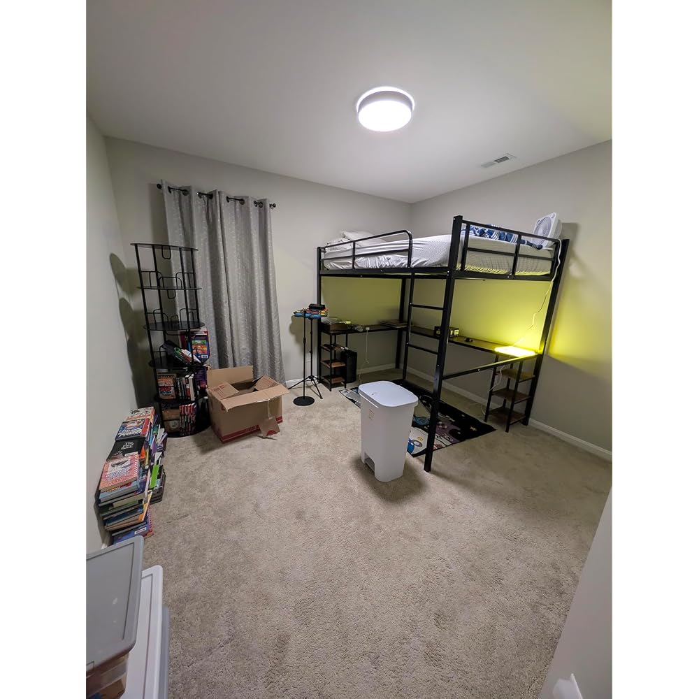 Full Loft Bed with Desk & Shelves for Teens/Adults, Guardrails, Ladder